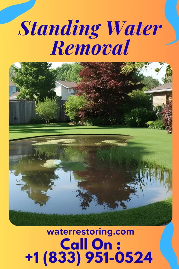 Standing Water Removal in Tickfaw, LA